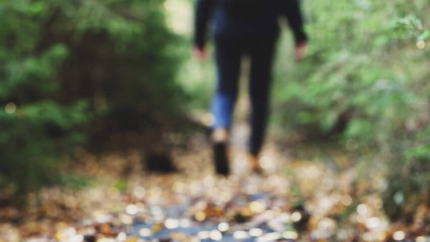 Kävelijä metsäpolulla