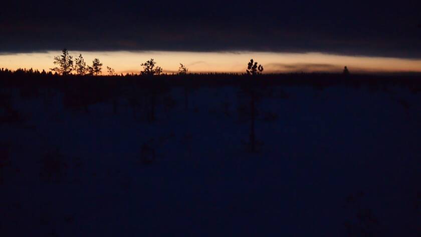 Pimeä talvimaisema, jossa taivaanrannassa kajastaa auringonnousu